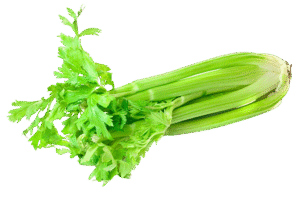 Celery