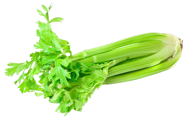 Celery
