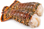 Lobster Tail - Per lb