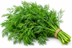 Dill - 0.75 oz