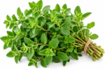 Marjoram - 0.75 oz