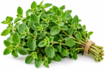 Oregano - 0.75 oz