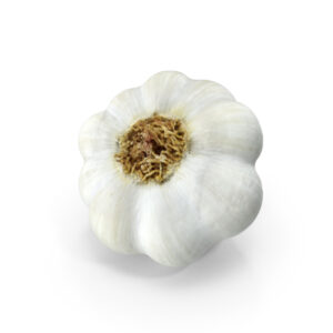 Garlic Jumbo - Per lb
