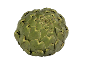 Artichoke