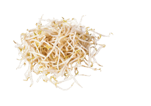 Bean Sprouts - 6.5 oz