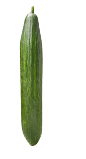 Cucumber European