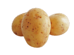Potato Regular - Per lb