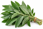 Sage -  0.75 oz
